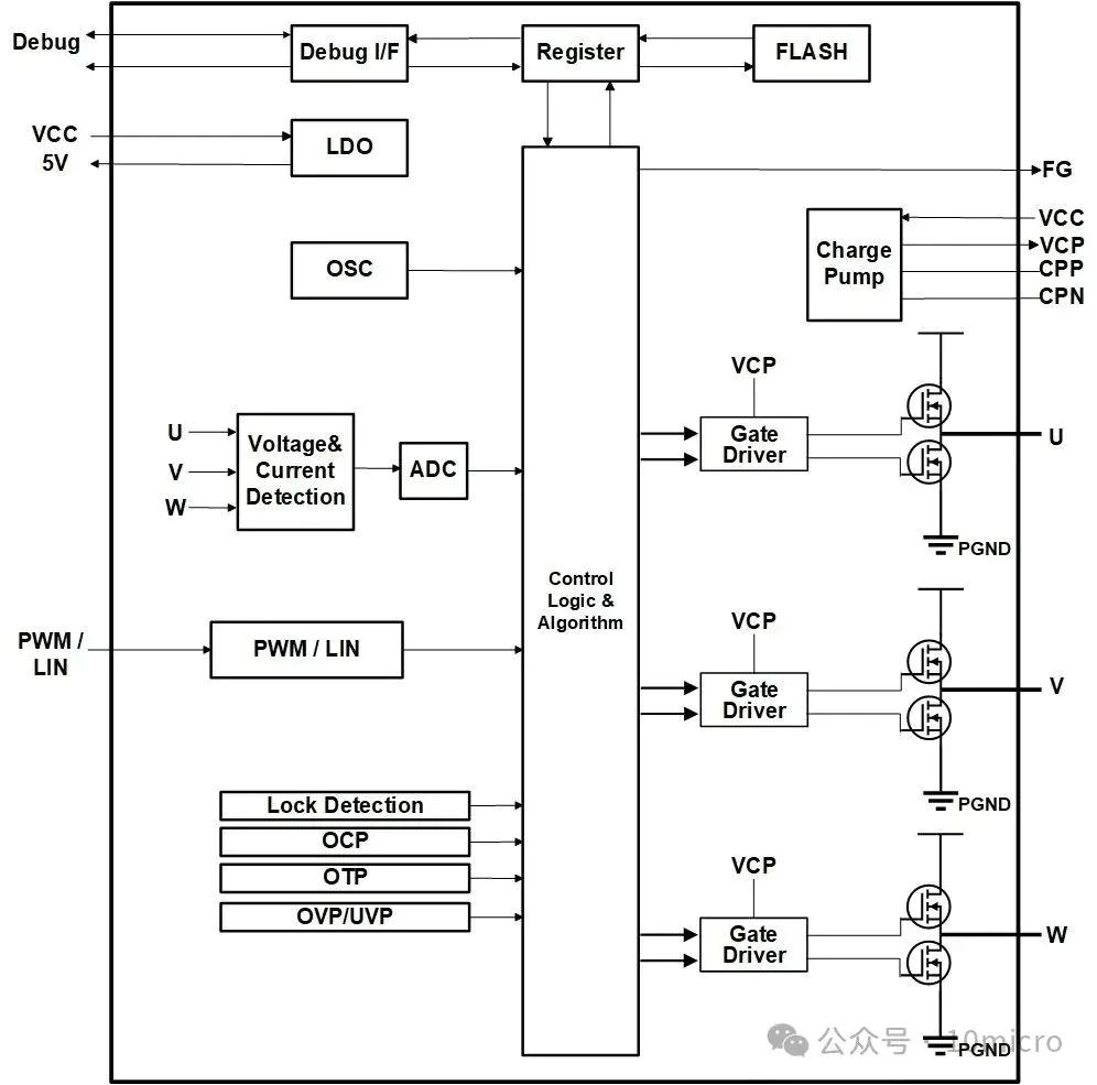 Section image